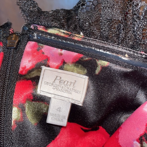 NWT Pearl Georgina Chapman Size 4 Lace Overlay Dress - Picture 3 of 5